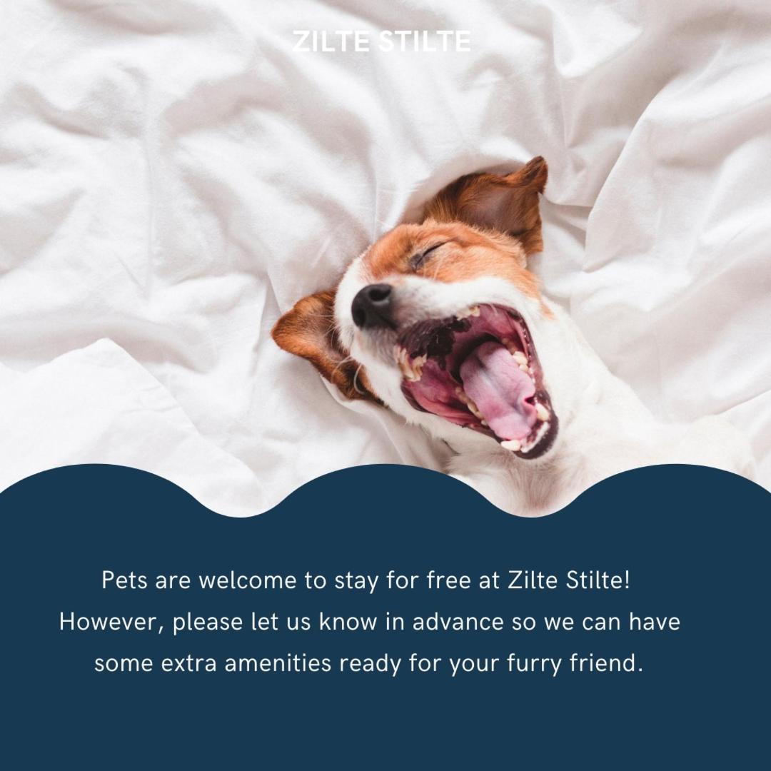 Zilte Stilte Apartment Остенде Екстериор снимка